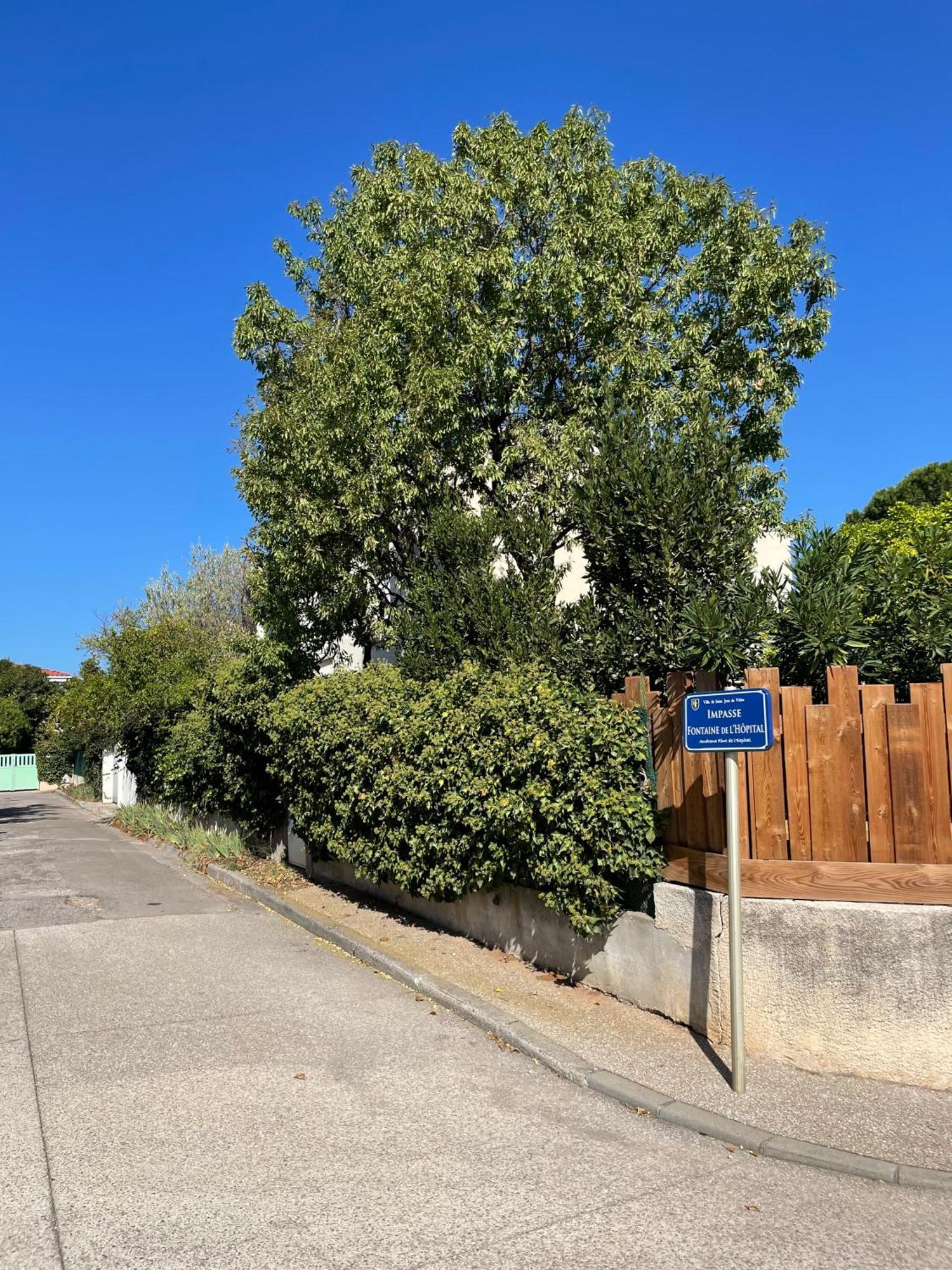 Le Pistachier - Maison Cozy Avec Jardin Privatif Saint-Jean-de-Védas Extérieur photo